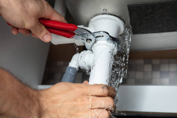 Best Local water damage restoration  in Sun Valley, NV