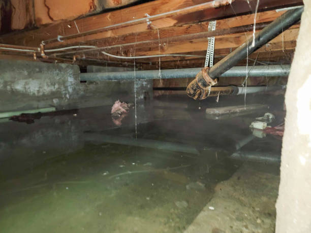 Best Ceiling water damage repair  in Sun Valley, NV