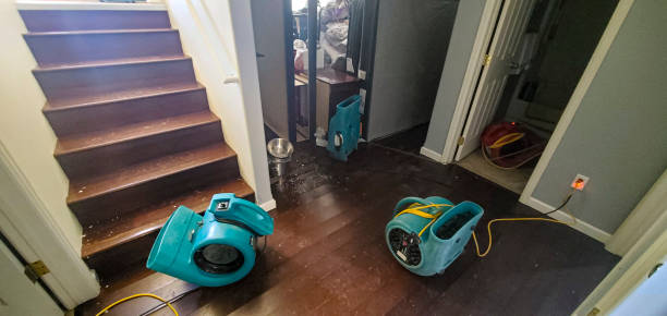  Sun Valley, NV Water damage restoration Pros
