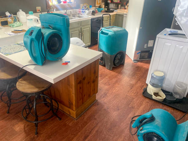 Best 24/7 water damage repair  in Sun Valley, NV