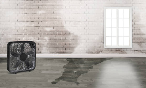 Water damage restoration process in Sun Valley, NV