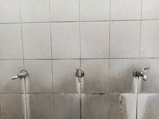 Best Water damage restoration process  in Sun Valley, NV