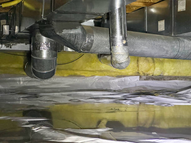 Best Carpet water damage restoration  in Sun Valley, NV