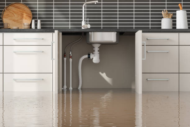 Best Basement water damage restoration  in Sun Valley, NV