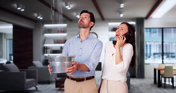 Best Fire Damage Restoration  in Sun Valley, NV