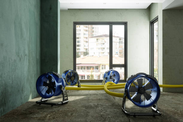 Fire Damage Restoration in Sun Valley, NV