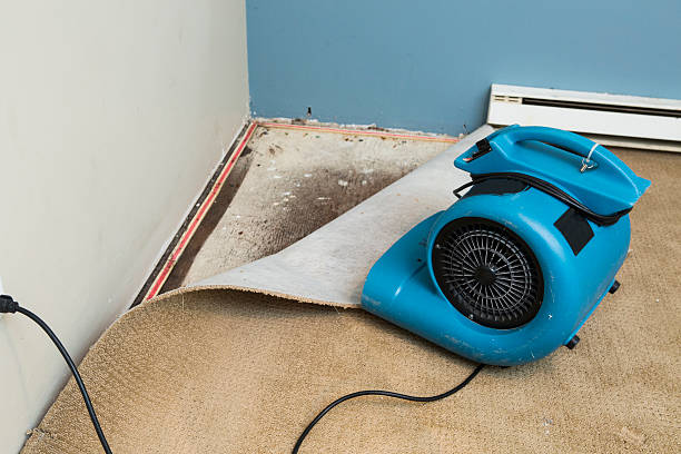 Best Water damage restoration cost  in Sun Valley, NV